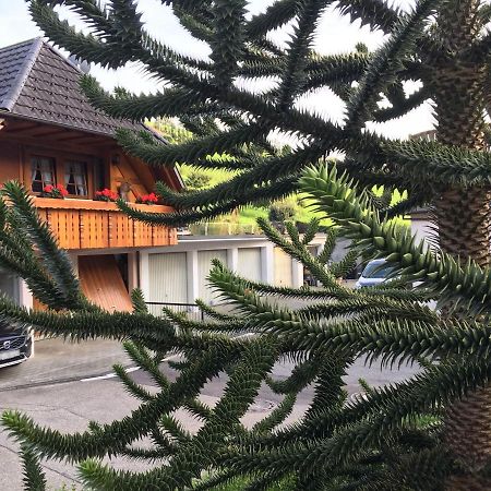 Pension Haus Rose Oberharmersbach Kültér fotó