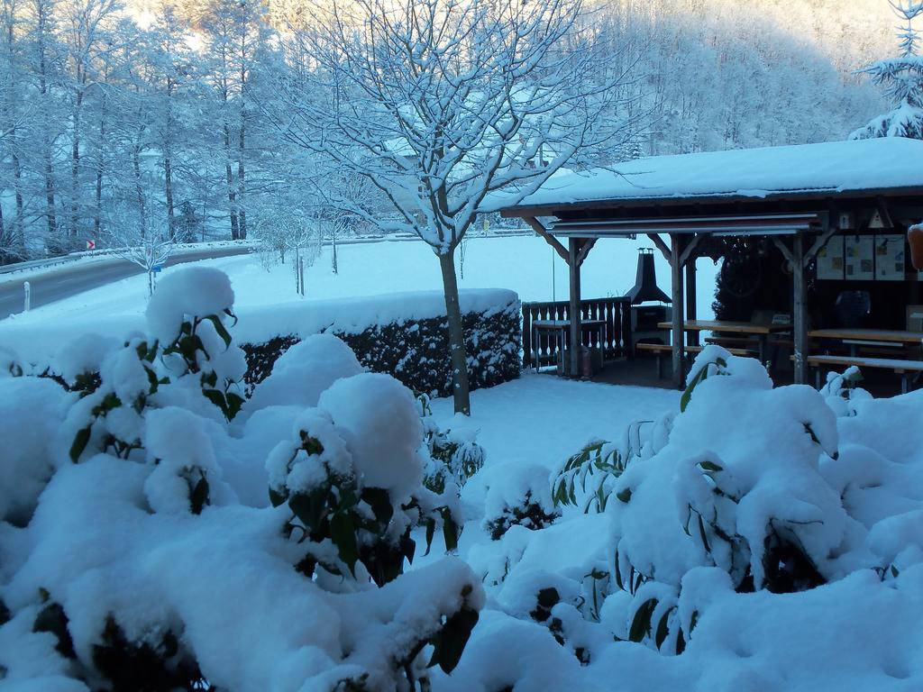 Pension Haus Rose Oberharmersbach Kültér fotó