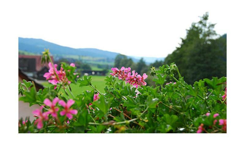 Pension Haus Rose Oberharmersbach Kültér fotó