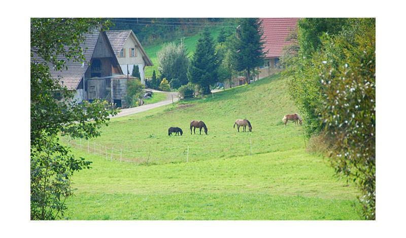 Pension Haus Rose Oberharmersbach Kültér fotó